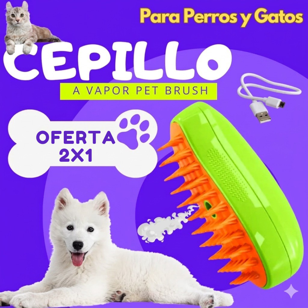 Cepillo a Vapor OFERTA 2X1