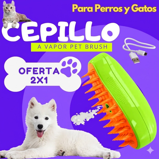 Cepillo a Vapor OFERTA 2X1