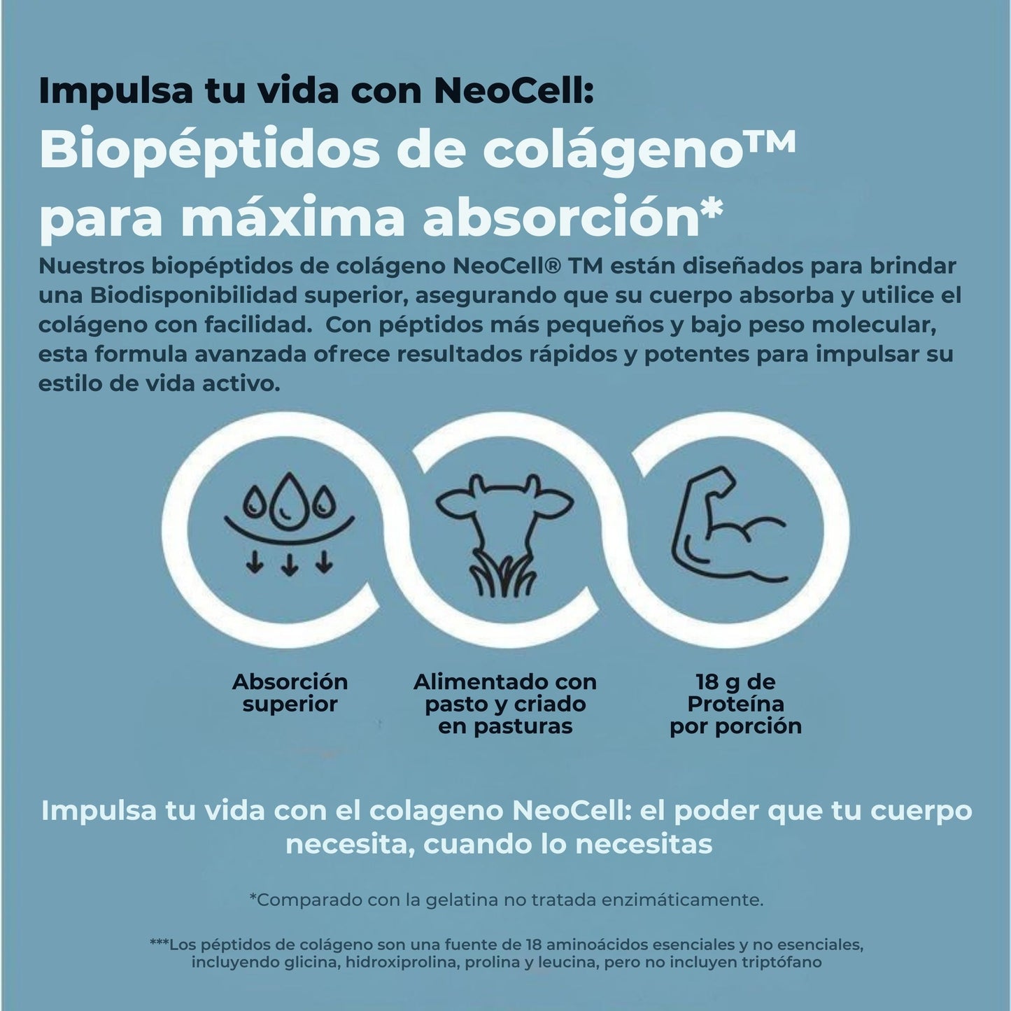 Biopéptidos de colágeno™