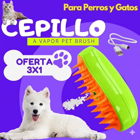 Cepillo a Vapor OFERTA 3X1